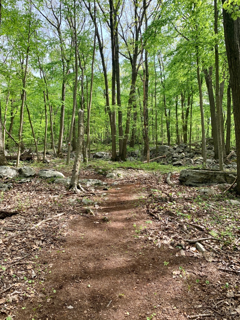 Veteran Park's red trail